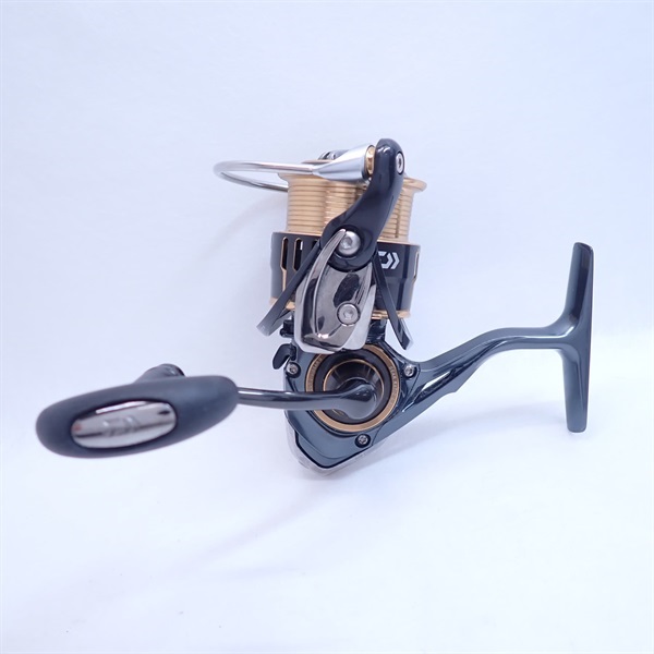 １７セオリー２５０８ＰＥ